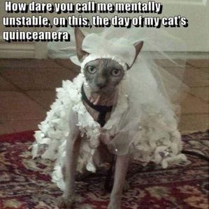 Meet your Posher, Liz